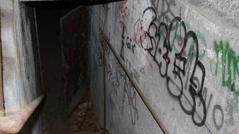 Linseed - Linseed-Factory243.jpg