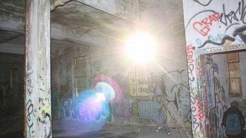 Linseed - Linseed-Factory223.jpg