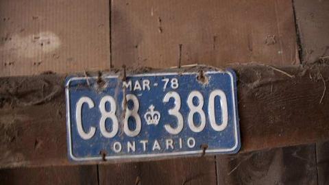 The Best You Can Get - Pioneer-Engineer3.jpg