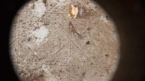 The Best You Can Get - Pioneer-Engineer30.jpg