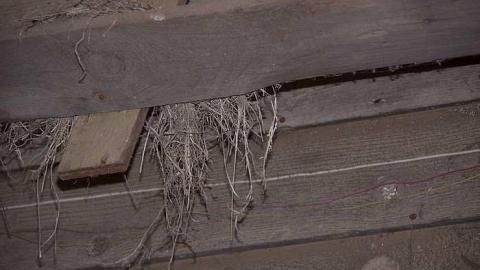 The Best You Can Get - Pioneer-Engineer40.jpg