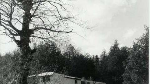 Camp - Old-Camp-near-Whitfield13.jpg