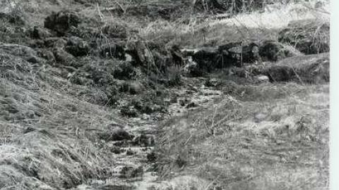 Camp - Old-Camp-near-Whitfield15.jpg