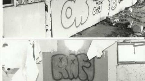 Old Camp near Whitfield photo 5