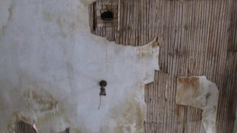 Floor, Meet Basement - IMG_0282.jpg