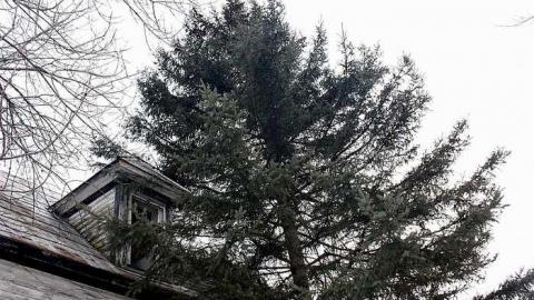 Jan 2016 - For-Clay7.jpg