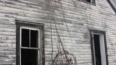 Jan 2016 - For-Clay26.jpg