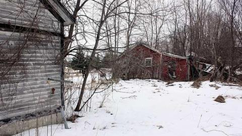 Jan 2016 - For-Clay1.jpg