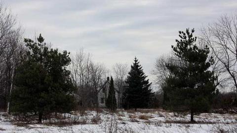 Jan 2016 - For-Clay2.jpg