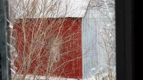 Upgrade, Downgrade photo 5