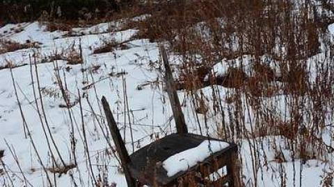 January 31 2016 - DSC_4240.jpg