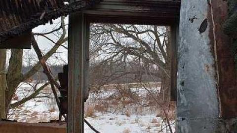 Photo from January 31 2016