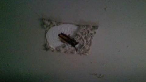 Hurontario Street - Caledon, Ontario