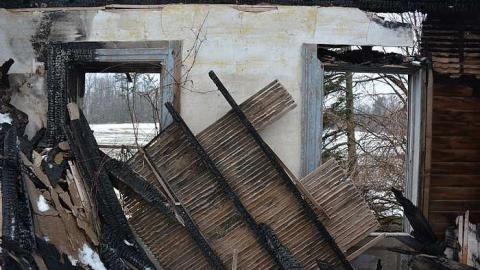 January 31 2016 - DSC_4272.jpg