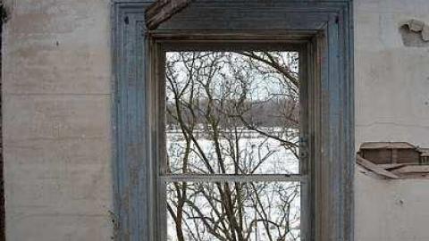 January 31 2016 - DSC_4282.jpg