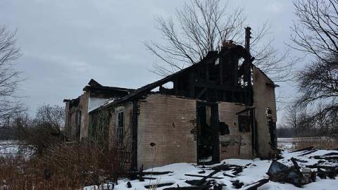 January 31 2016 - DSC_4293.jpg