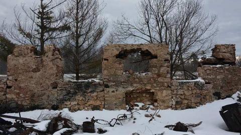 January 31 2016 - DSC_4296.jpg