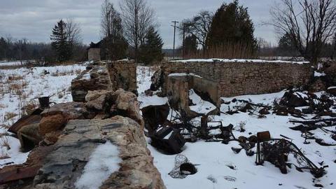 January 31 2016 - DSC_4318.jpg