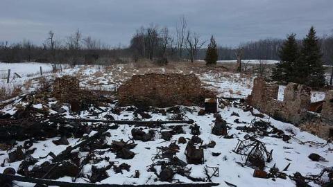 January 31 2016 - DSC_4320.jpg