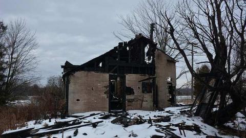 January 31 2016 - DSC_4322.jpg