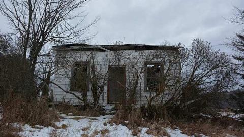 January 31 2016 - DSC_4323.jpg