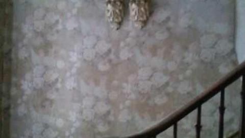 Hurontario Street - Hurontario-Street47.jpg