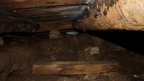 January 31 2016 - y-IMG_0531.jpg