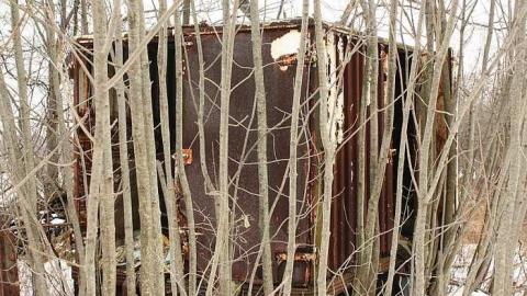 January 31 2016 - c-IMG_0568.jpg