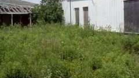 Corner Lot  - OLCO-Gas-Bar--House4.jpg