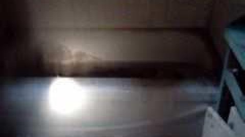 Photo from Corner Lot 