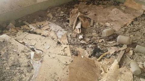 Feb 01 2016 - IMG_20160201_144348.jpg