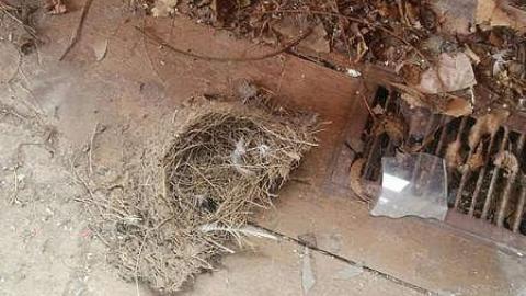 Feb 01 2016 - IMG_20160201_144522.jpg