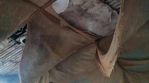 Feb 01 2016 - IMG_20160201_145020.jpg