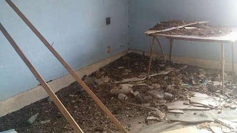 Feb 01 2016 - IMG_20160201_144031.jpg