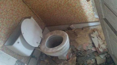 Feb 01 2016 - IMG_20160201_144024.jpg