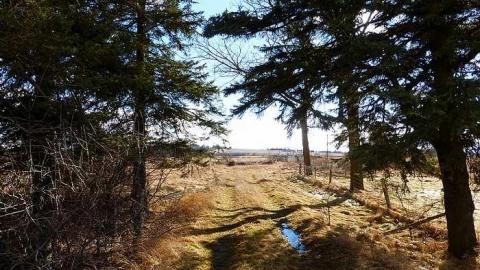 February '16 - Just-off-of-Truck-Bypass45.jpg