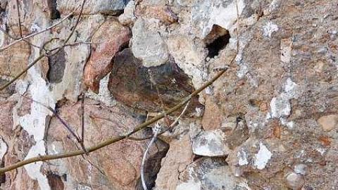 February '16 - Just-off-of-Truck-Bypass81.jpg