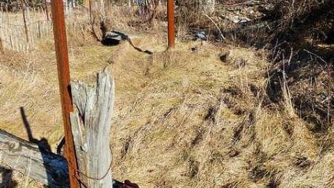 February '16 - Just-off-of-Truck-Bypass24.jpg