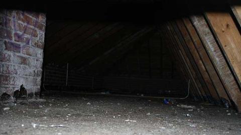 2015/2016 trips - Camp-30-Bowmanville1019.jpg