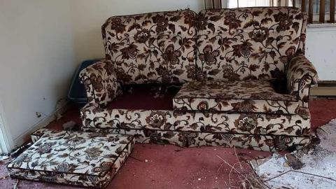 Photo from Night Buffet '16