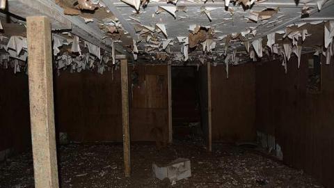 Photo from February 04 2016 