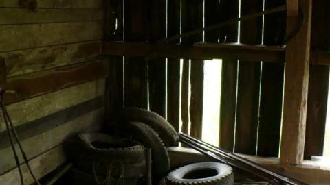 Photo from Timo's Gallery