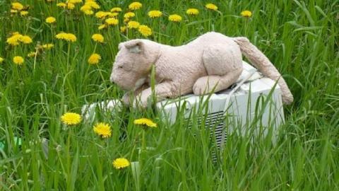 Photo from Timo's Gallery