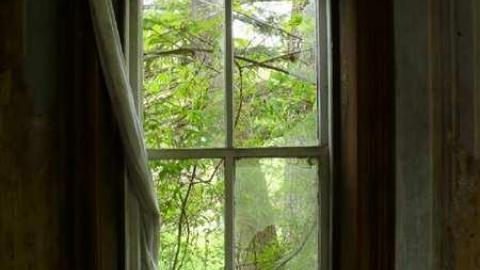 Timo's Gallery - Quabbin-Hill-Rd.-Farmhouse63.jpg