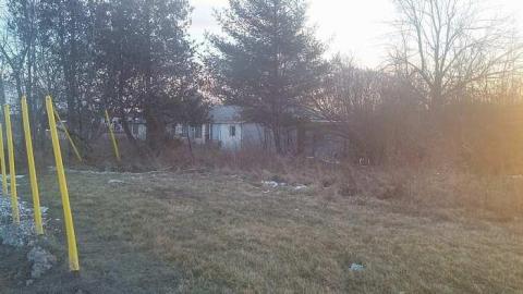 February 2016 - Woodstock-Random-Find1.jpg