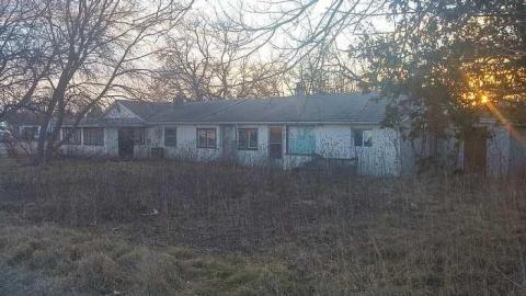 February 2016 - Woodstock-Random-Find24.jpg