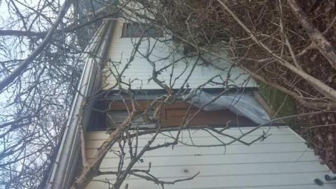 February 2016 - Woodstock-Random-Find3.jpg