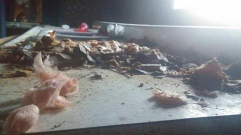 Photo from February 2016