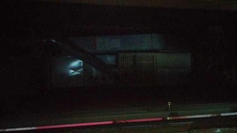 February 2016 - Woodstock-Random-Find12.jpg