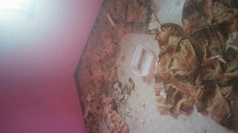 February 2016 - Woodstock-Random-Find29.jpg